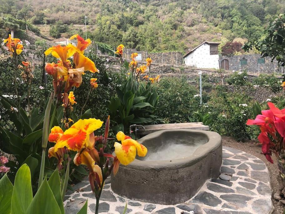 Califurnia - Refurb Antique Villa Icod De Los Vinos Exterior foto